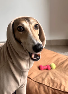 Buzo corderoy plush crudo - comprar online