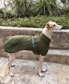 Abrigo impermeable verde - comprar online