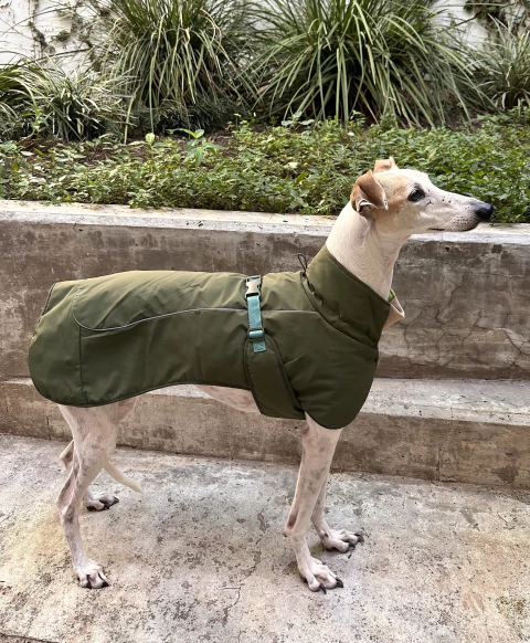 Abrigo impermeable verde - comprar online