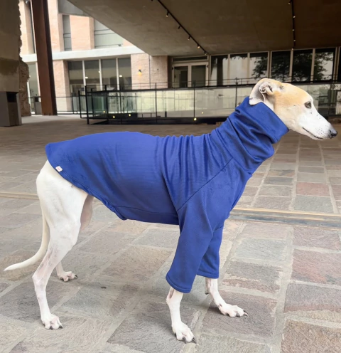 Buzo polera corderoy plush azul - comprar online