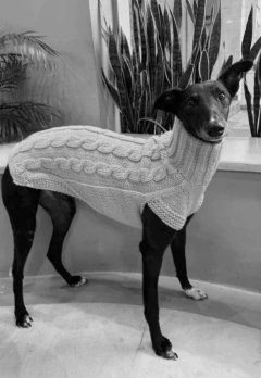 Suéter tejido Coral S en internet