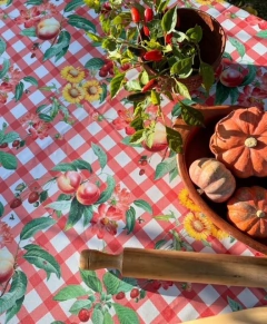 Mantel Frutas Rojo 1,45 x 1 m en internet