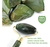 Masajeador Facial De Jade Rodillo Doble Duga D540 - Lucila Beauty Shop