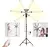 Luz Led Estrella Regulable 6 Brazos Flexibles Tripode L600 en internet