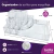 Organizador Para Cosméticos Acrílico Brochas Pinceles O1501 - comprar online
