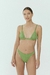 Bombacha BOLONIA Monaco Botanico - buy online