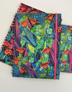 COLIBRÍ TURQUESA A4 - TAPA BLANDA