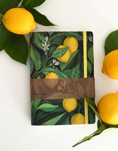 KIT COMBO LIMONERO Nº1 - 2 x Libretas LIMONERO A5 - GRANDES