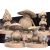 Kit Miconídeos - Sem Pintura, Miniaturas 3D Médias Para RPG de Mesa - comprar online