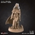 Sofia, A Guardiã do Fogo - Sem Pintura, Miniatura 3D Médio Para Rpg de Mesa