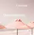 Saltair - Pink Beach | Skincare Deodorant - comprar online