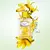 Prada Beauty - Infusion d'Ylang Eau de Parfum 100 ml. en internet