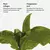 Typology - L74 | Eye Mask Set for Fine Lines 1% Plant Collagen + Polyglutamic Acid