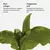 Typology - L74 - Eye Mask Set for Fine Lines 1% Plant Collagen + Polyglutamic Acid - tienda online