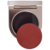 ROSE INC - Dahlia | Blush Divine Clean Dewy Cream Blush