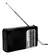 Radio Altomex Al-356 Preto - LOJA DA OTTO
