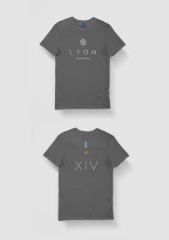 Papa León XIV - Apóstol