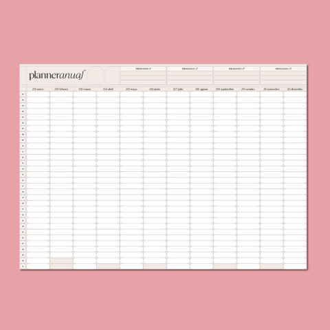 PLANNER ANUAL DE PARED