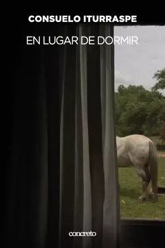 EN LUGAR DE DORMIR - CONSUELO ITURRASPE - CONCRETO