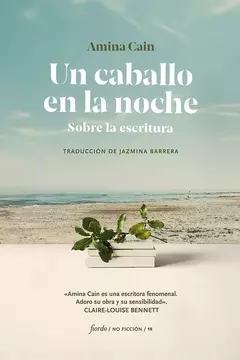 UN CABALLO EN LA NOCHE. SOBRE LA ESCRITURA - AMINA CAIN - FIORDO