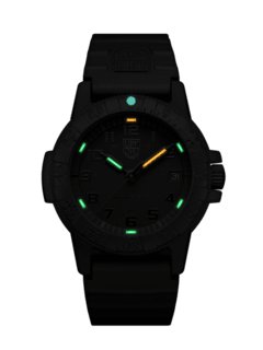 LEATHERBACK SEA TURTLE 0301.BO DAMA - comprar online