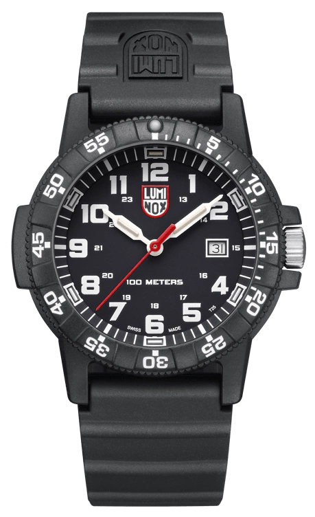 LEATHERBACK SEA TURTLE GIANT 0321