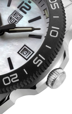 Imagen de PACIFIC DIVER 3120 SERIES | XS.3126.M