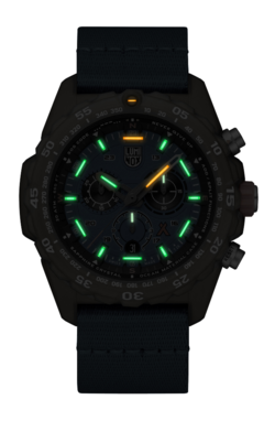 BEAR GRYLLS SURVIVAL 3740 SERIES | 3743.ECO en internet