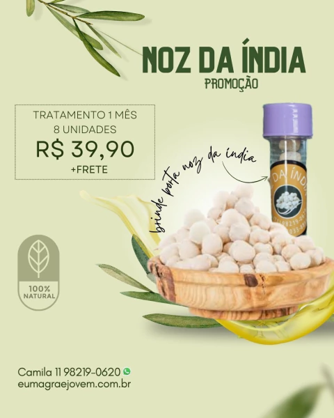 Noz da Índia - Tratamento para 1 mês + Porta Noz de brinde - 8 sementes