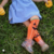 Meia Pumpkin Cantarola - comprar online