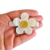 CLIP FLORES PEROLADA - comprar online