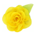 Flor Voile - loja online