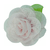 Flor Voile na internet