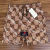 Short Gucc1 x Balenci4ga Bege