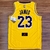 Regata NBA Lakers #6 - loja online