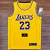 Regata NBA Lakers #6
