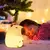 CAPIBARA CON LUZ (CAMBIA DE COLOR) en internet