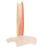 Cinta de organza n°1 8mm - comprar online