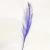 Plumas grandes x1