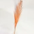 Plumas grandes x1 - comprar online