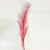 Plumas grandes x1 en internet