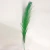 Imagen de Plumas grandes x1