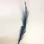 Plumas grandes x1 - comprar online