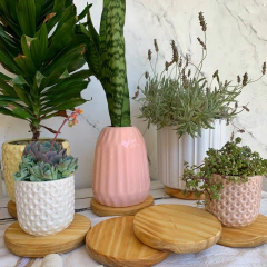 Plato de madera en internet