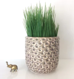 Maceta Piña amarillo - tienda online