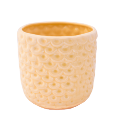 Maceta Piña Crudo en internet