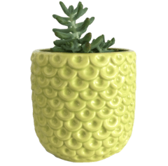 Maceta Piña azul - tienda online