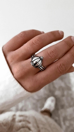Anillo Holanda