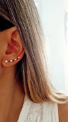 Trepador cubic frida - por unidad