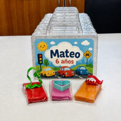 Imagen de Valija Modelo M con 3 Masas y 3 Cortantes